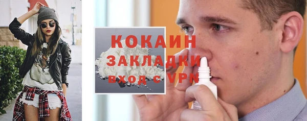 дживик Надым