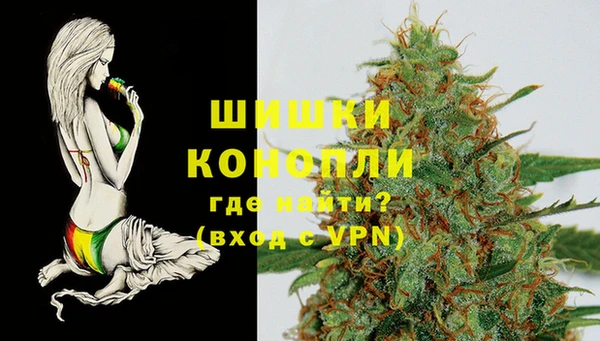 дживик Надым