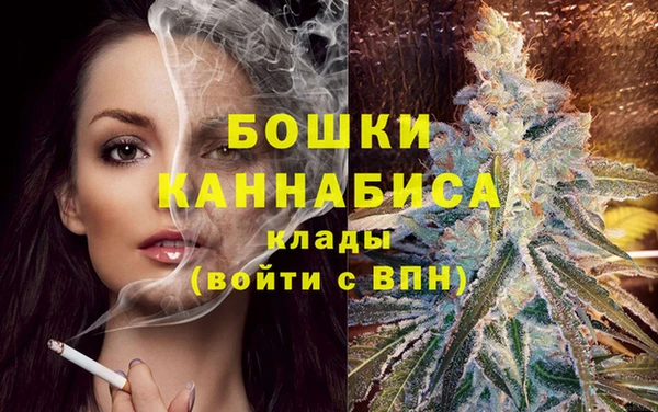 дживик Надым
